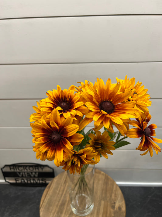 Rudbeckia Bunch